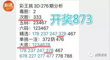 4949澳门彩资料大全,精选资料解析大全