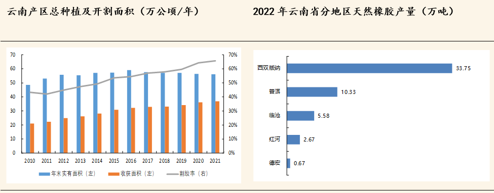 云南天然橡胶最新价格动态分析