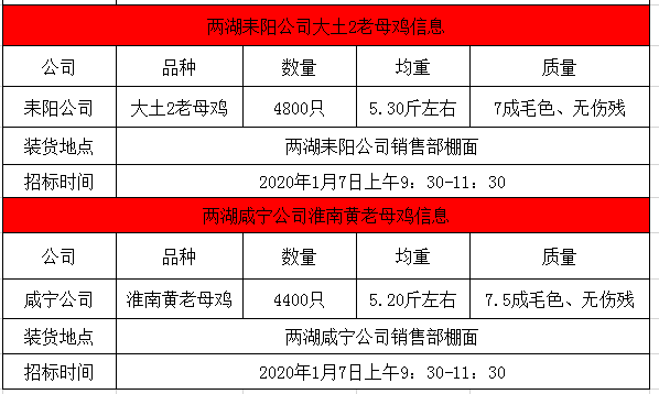 淮南最新招聘上午半天信息汇总与解读