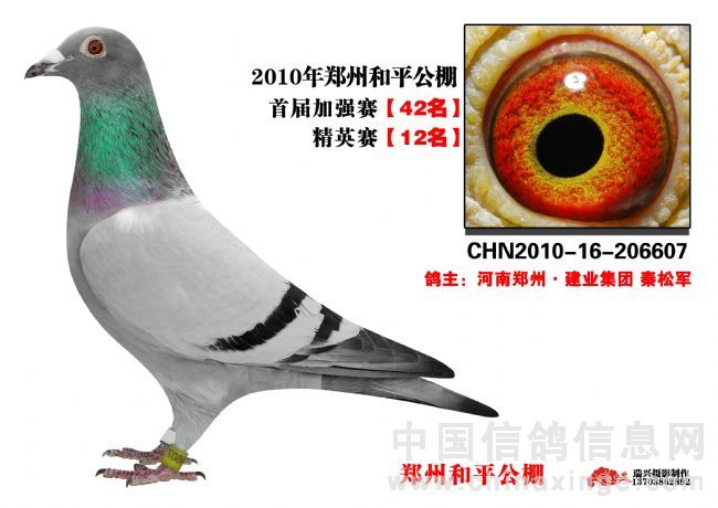 郑州恒翔公棚最新公告详解