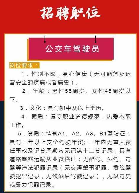 宁乡驾驶员最新招聘，职业前景、需求与应聘指南