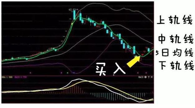 最新中国漂亮50股票概览