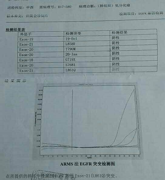 海南PD一1最新消息全面解读